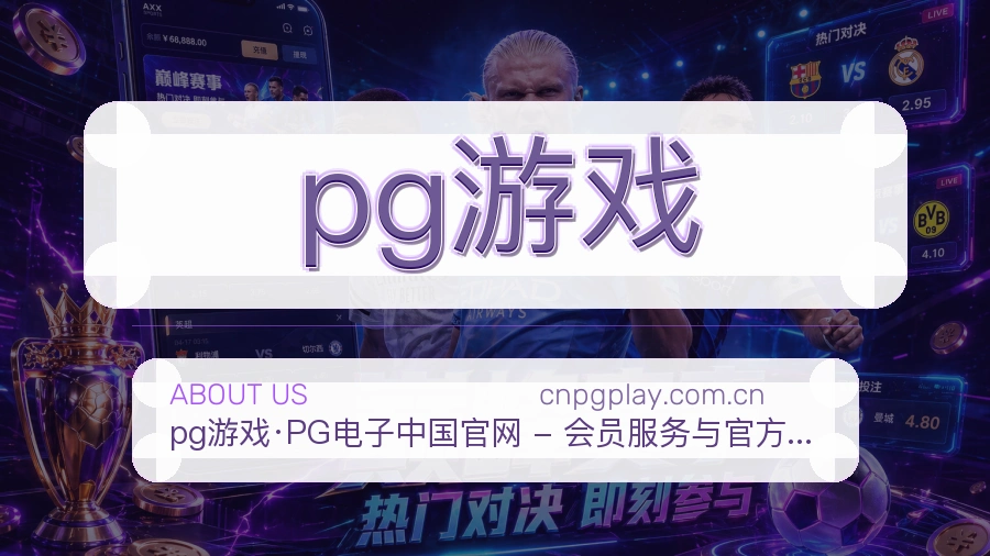 pg游戏服务说明